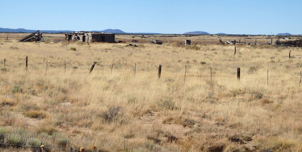 GDMBR: An old homestead.